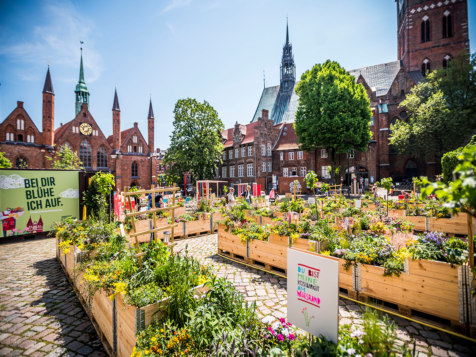 Lübeck Cultural Summer