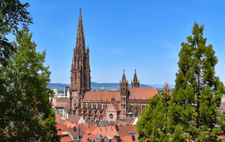 Freiburg cathedral from Black Forest