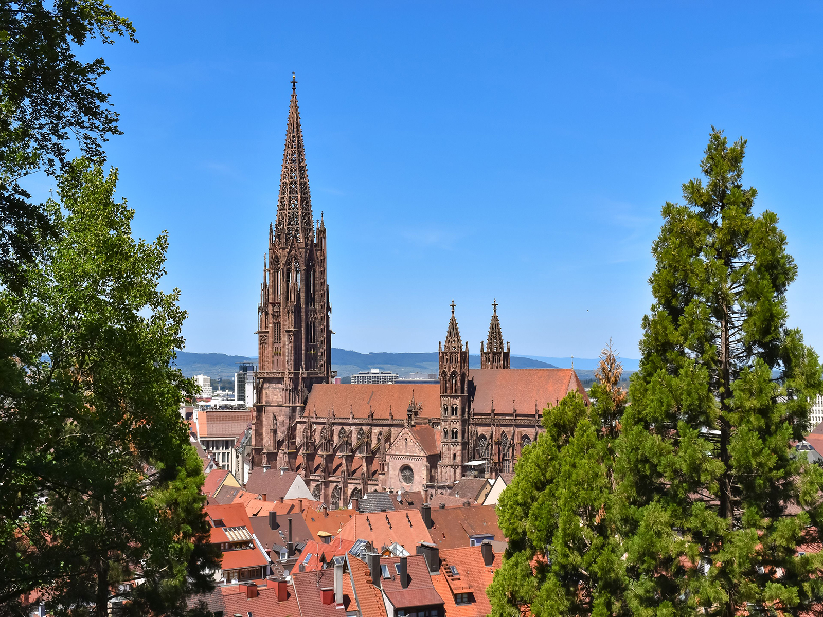 Freiburg cathedral from Black Forest