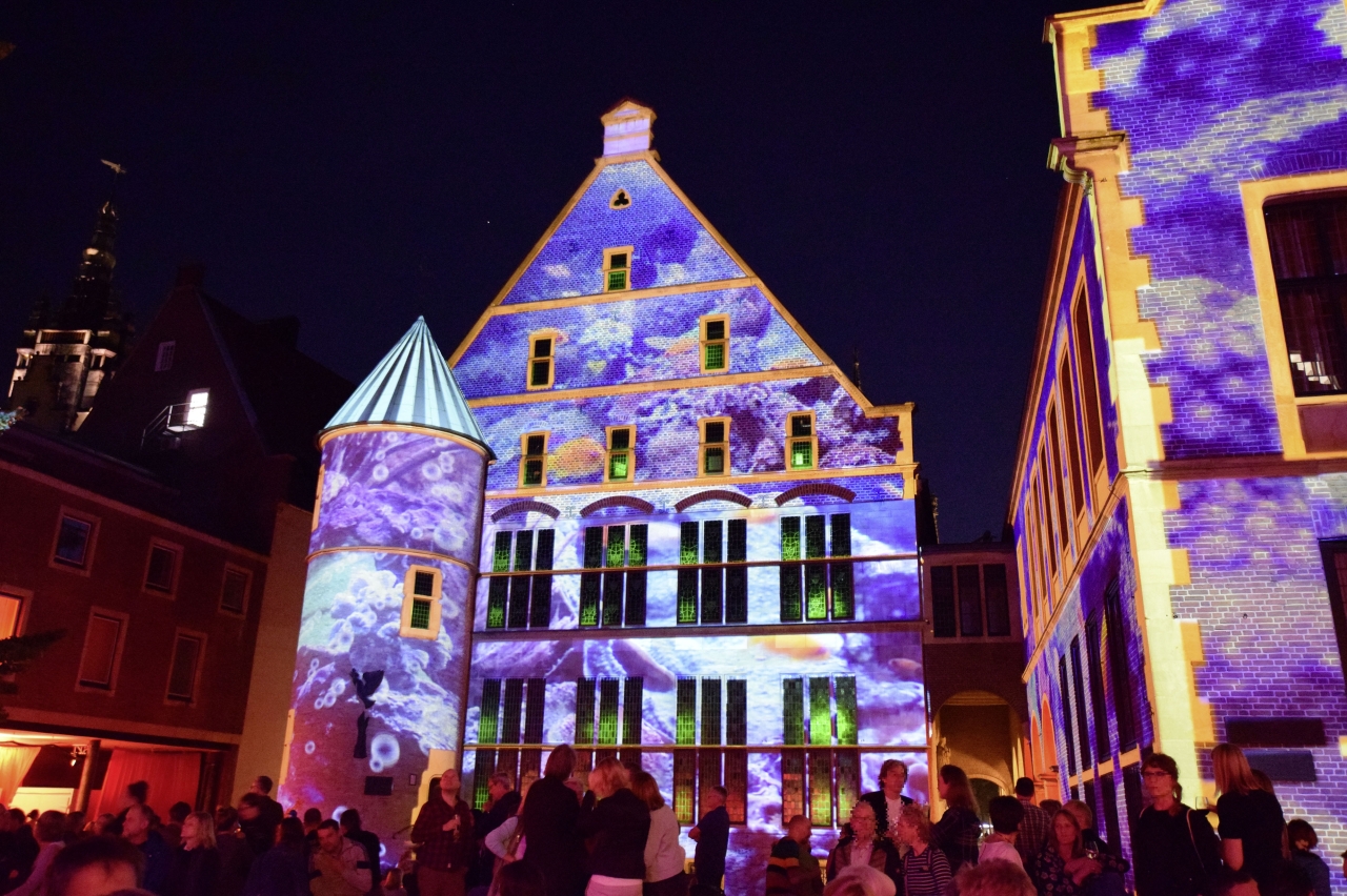 art installation project showing light art on house facades